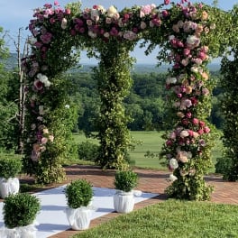 Happy Happy Chuppah