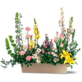 Springtime Splendor [TF199-8]