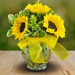 Small bouquet of bright yellow sunflowers in a round glass vase with a yellow bow