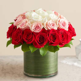 Round arrangement of red, pink, and white roses in a clear glass cylinder vase