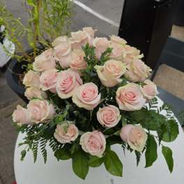 Bouquet of pale pink roses with greenery