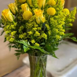 Dozen Yellow Roses