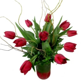 Red tulips arranged in a glass vase with curly branches
