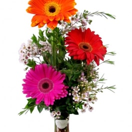 Tall bud vase with orange, red, and pink gerbera daisies accented by tiny white blossoms.