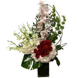 Tall floral arrangement with red roses, white orchids, and white hydrangeas in a black vase