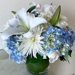 Compact arrangement of white lilies, mums, and roses with blue hydrangeas in a clear glass vase