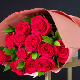 Dozen Long Stemmed Hot Pink Roses