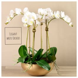 White orchids arranged in a gold bowl planter