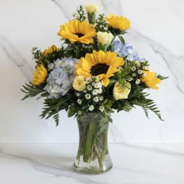 Bouquet of sunflowers, pale blue hydrangeas, and small white flowers in a clear glass vase