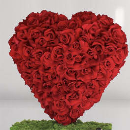 I give you my heart