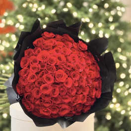 100 ROSES TO SAY I LOVE YOU MAS