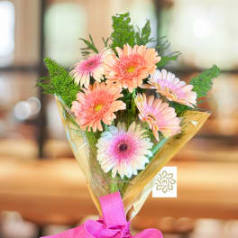 Pink and peach gerbera daisies in gold wrap with a pink ribbon