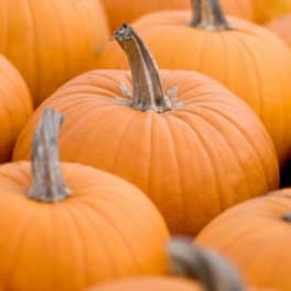 Pumpkins