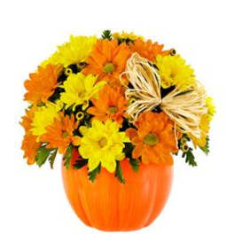 Orange and yellow daisy bouquet in a pumpkin-shaped vase with a raffia bow