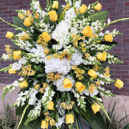 Elegant Yellow