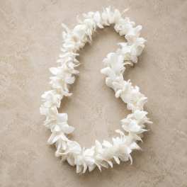 Single Lei White