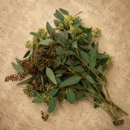 Seeded Eucalyptus Bunch