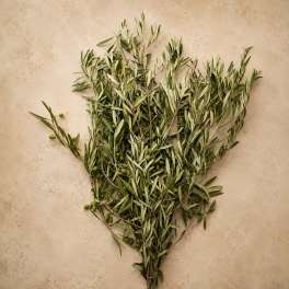 Olive Bunch