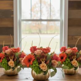 Three low fall flower arrangements with orange gerbera daisies and roses in gold pumpkin vases on a wooden table.