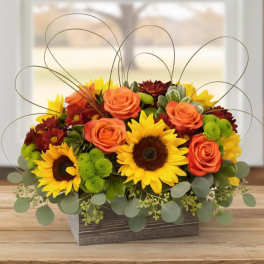 Low arrangement of sunflowers, orange roses, and mums in a rustic wooden box with looping wire accents.