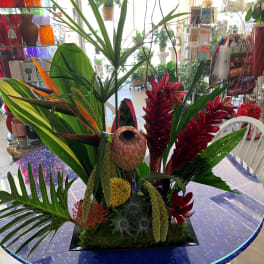 Tropical floral arrangement with red blooms and large green leaves in a black vase