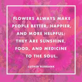 Pink floral quote graphic with white text in a square border
