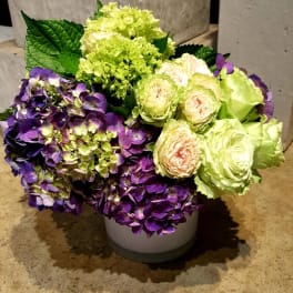 Purple hydrangeas and pale green roses arranged in a white vase