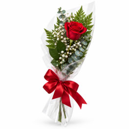 Single red rose bouquet wrapped in clear plastic with a red ribbon
