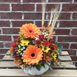 Orange gerbera daisies and mixed flowers in a white pumpkin vase