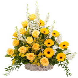 Ray of Sunshine Basket Tribute TMF-763