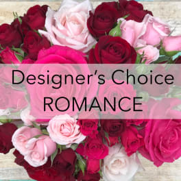 Assorted pink and red roses with the words "Designer’s Choice ROMANCE" overlaid.