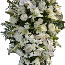 Eternal White