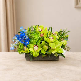 Green orchid arrangement with blue flowers in a rectangular wooden container