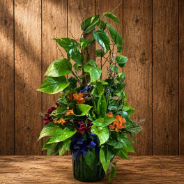 Tall leafy plant arrangement with orange flowers in a dark container