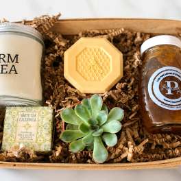 Gift basket with a succulent, candle, soap, honey jar, and honeycomb-shaped item