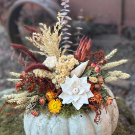 Dried floral arrangement in a white pumpkin container