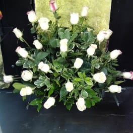Roses in White