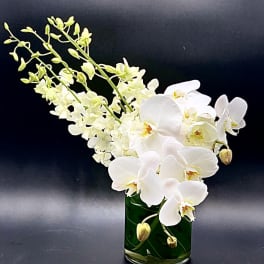 White orchids arranged in a green glass vase