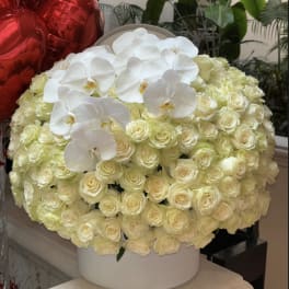 Impressive white