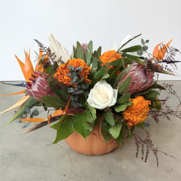 Fall Celebration