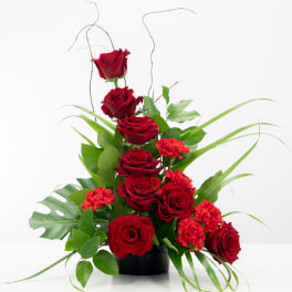 Dripping Rubies