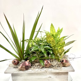 Mixed potted plants in a rectangular wooden planter with decorative mushrooms