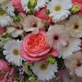 Pink roses and white daisies in a hand-tied bouquet