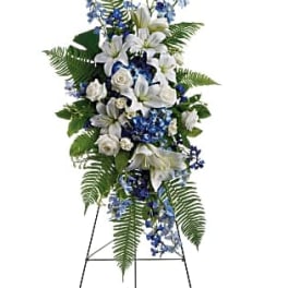Ocean Breeze Spray in Oakland Park, FL  12 lips floral design