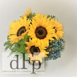 Yellow sunflowers with blue hydrangeas in a clear vase