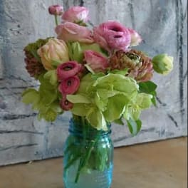 Birthday Flowers Delivery Sherman Oaks Jasmine Blue Flowers Plants Gifts
