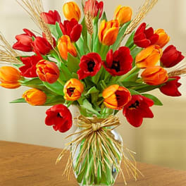 Timeless Tulips for Fall