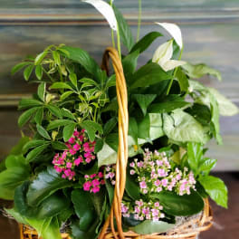 Sympathy and Funeral Flowers Delivery Toledo | Schramm's ...