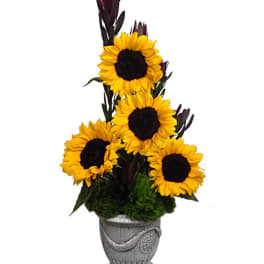 Flowers Delivery Tustin Flowers By Coley Orange County