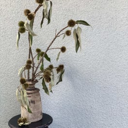 Anniversary Flowers Delivery San Clemente Smoke Willow Botanical Design